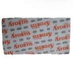 لنت ترمز جلو 206 تیپ5 آفورتیس - Image 3