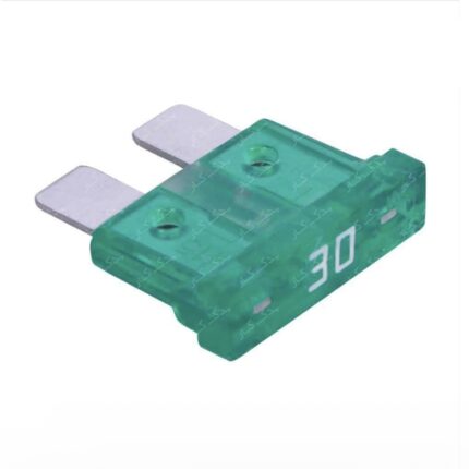 فیوز دو شاخ متوسط 30 آمپر (سبز)
