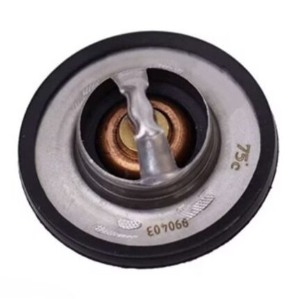 ترموستات 75 درجه  405 پارس سمند پارس نیکان